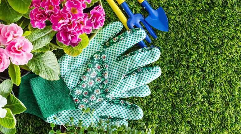 When Should You Start Spring Landscaping - Butterfly Labs