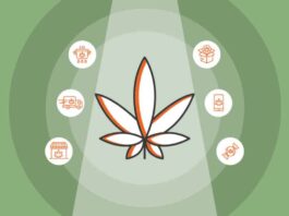From Wholesale to Retail: The Path to Success in the CBD Industry?