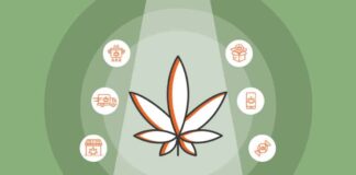 From Wholesale to Retail: The Path to Success in the CBD Industry?