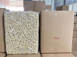 Best Cashew Nut Suppliers
