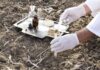 Percolation Testing When Buying Rural Land