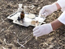 Percolation Testing When Buying Rural Land