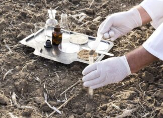 Percolation Testing When Buying Rural Land