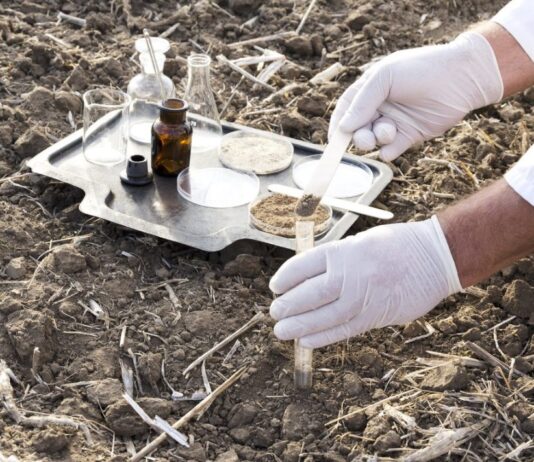 Percolation Testing When Buying Rural Land